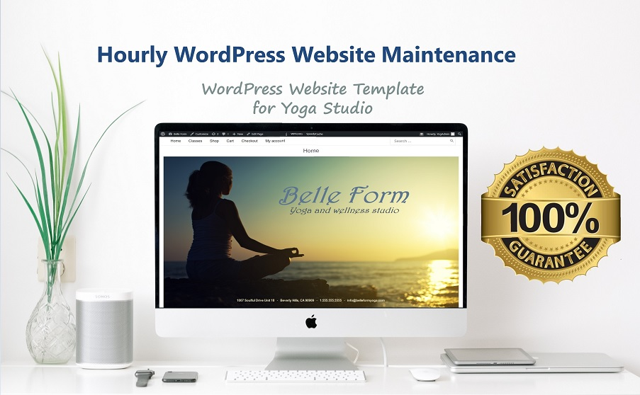 Hourly WordPress Website Maintenance