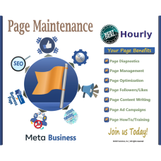 Facebook Basic Business Page Maintenance and Monitoring